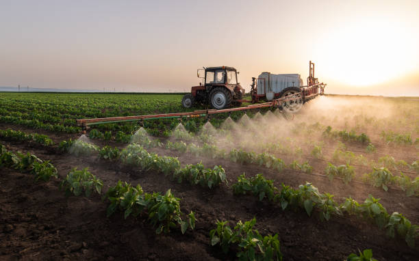 Best Mosquito Control Services  in Mccrory, AR