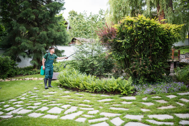 Best Affordable Pest Control Services  in Mccrory, AR