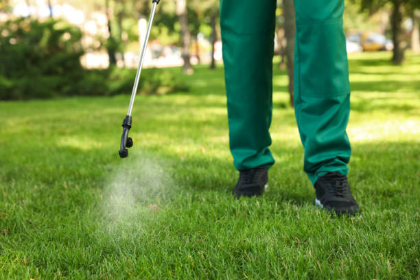 Best Wildlife Control Services  in Mccrory, AR
