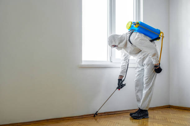 Reliable Mccrory, AR Pest Control Solutions