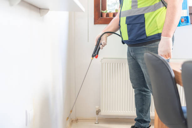 Best Local Pest Control Services  in Mccrory, AR