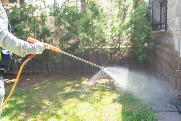 Best Termite Control Services  in Mccrory, AR