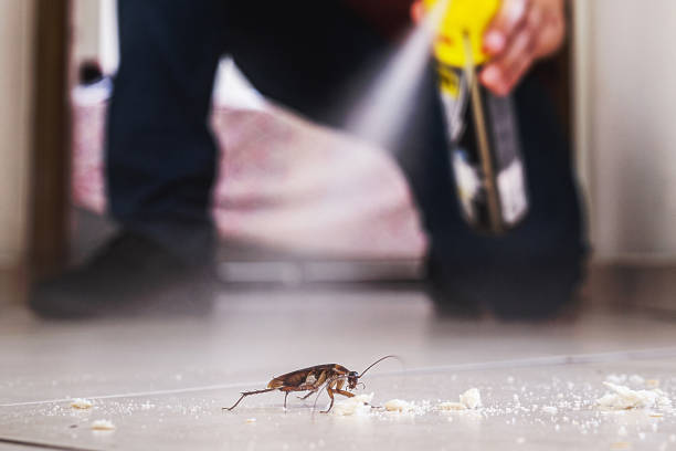 Best Pest Removal Services  in Mccrory, AR