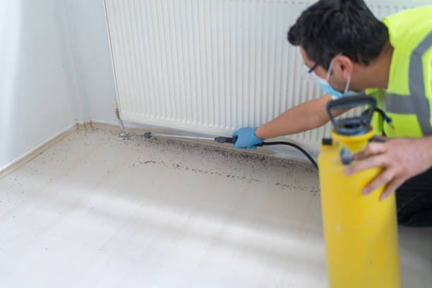 Best Pest Control for Businesses  in Mccrory, AR
